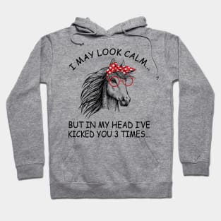 I May Look Calm But In My Head I've Kicked You 3 Times Horse Hoodie